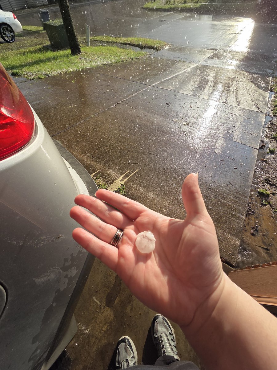 Anarchity tweet media