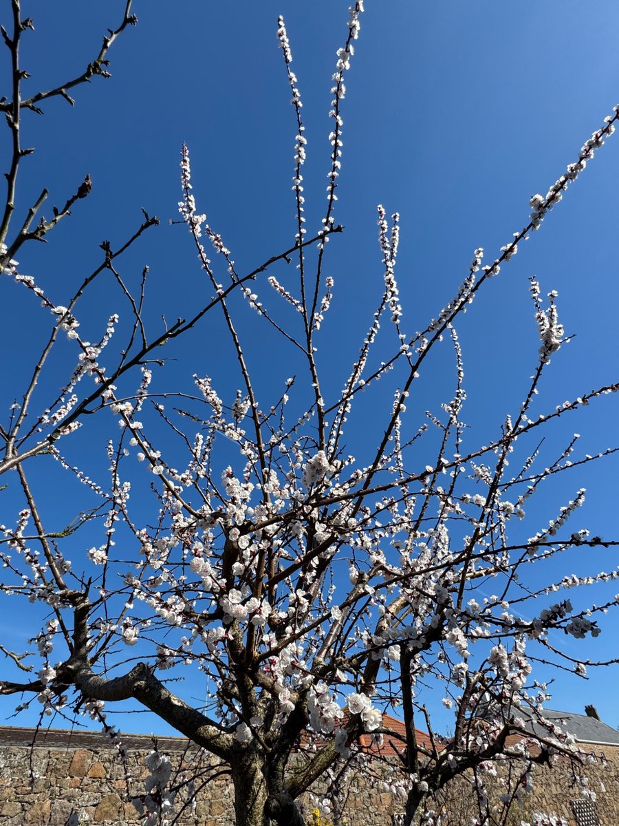 🐿🐿. Kate 🐿🐿 tweet media