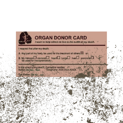 _ORG4NDONOR's tweet photo. ⠀ https://t.co/LQjvENqZ49