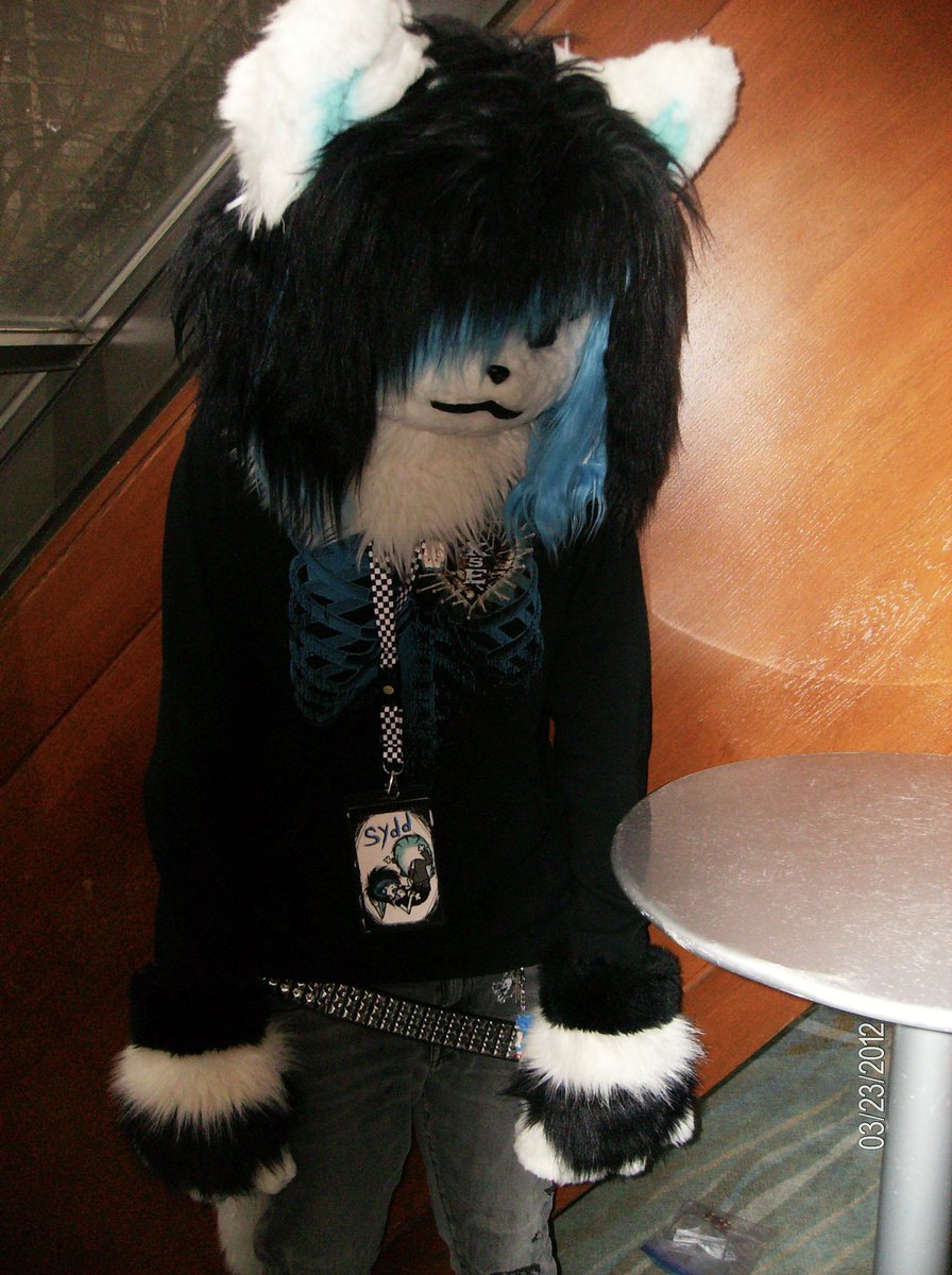 berrythefoxx's tweet photo. Unfortunately some of the photo came out blurry😿 https://t.co/CZe3CIphJM