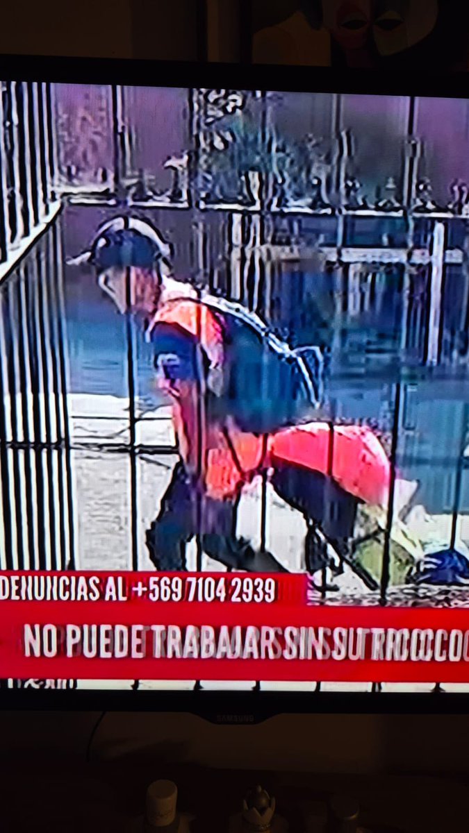 Cami 🇨🇱 tweet media