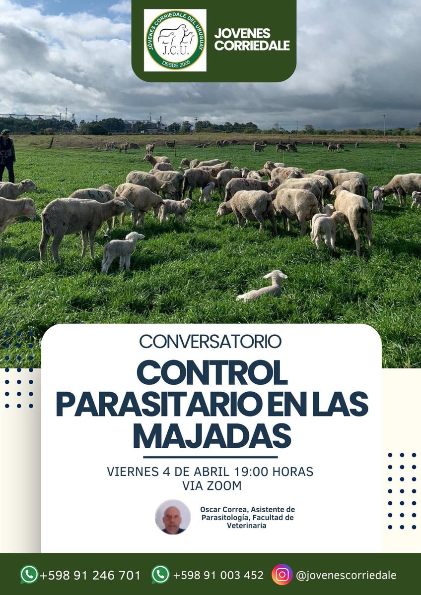 salavirtual-udelar.zoom.us/j/84647646875?…