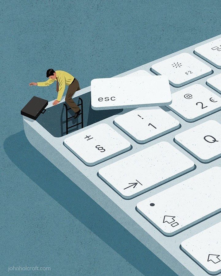 Ramin Nasibov tweet media