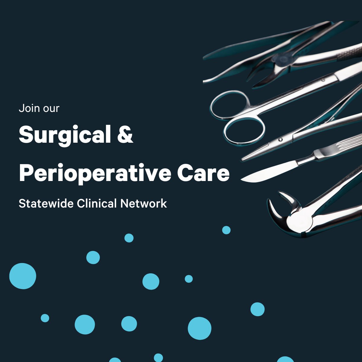 We are seeking a visionary Surgical and Perioperative Statewide Clinical Network Lead to champion excellence across the entire patient journey. 

If this sounds like you, please apply.
📅 Applications close 2 May 2025.

Click the link to know more: bit.ly/4iVqAp