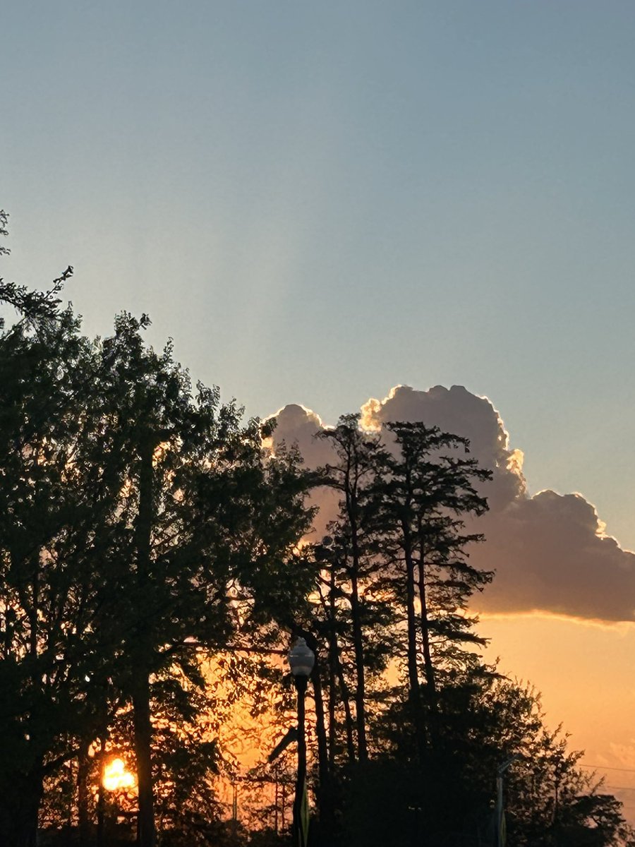 Cory J. Howat tweet media