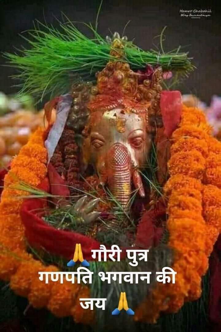 🌱गणेश जी को दूर्वा (दूब, घास) क्यों चढ़ाई जाती है 🌱

🌱गणेश जी को दूर्वा चढ़ाने से सभी प्रकार के विघ्न और बाधाएं दूर होती हैं। यह शुभता, सुख, और समृद्धि का प्रतीक है🌱

🌱तीन पत्तियाँ: दूर्वा की तीन पत्तियाँ त्रिदेव (ब्रह्मा, विष्णु, महेश) और तीन गुणों (सत्व, रज, तम) का प्रतीक