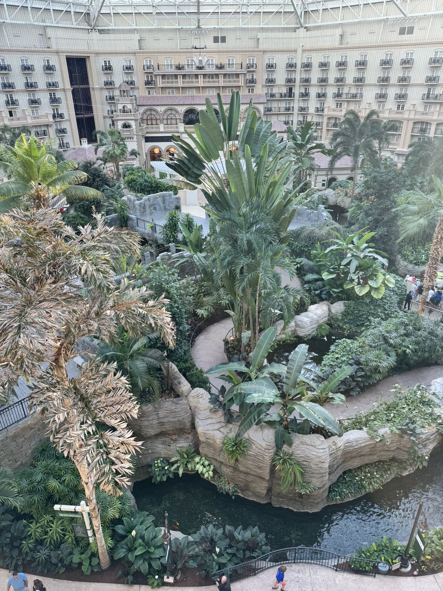 A great resort <a href="/GaylordPalms/">Gaylord Palms Resort & Water Park</a>.  Balcony room pics.