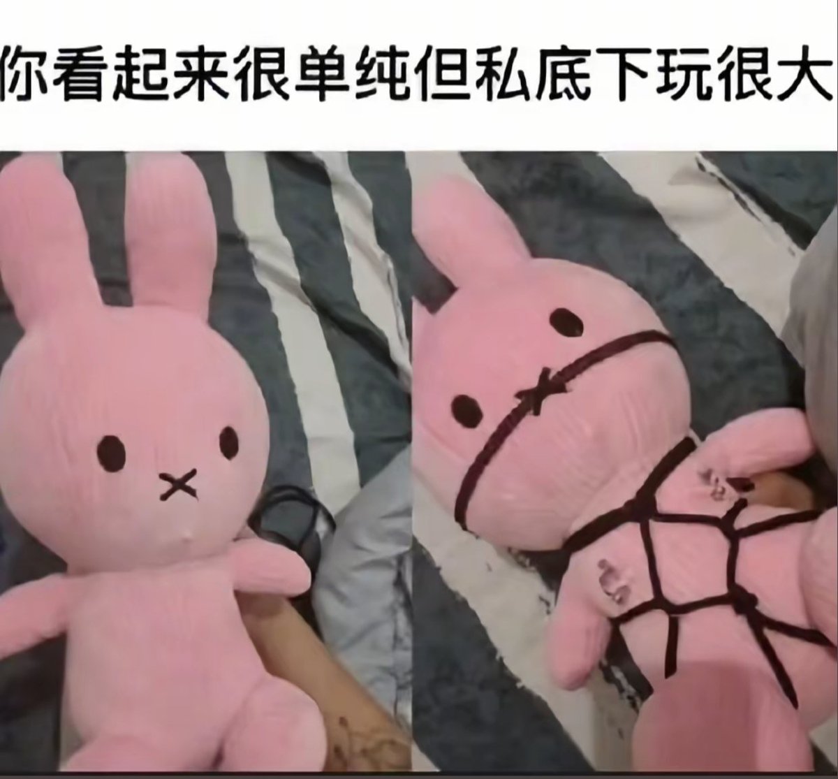 扑克睡不醒 tweet media