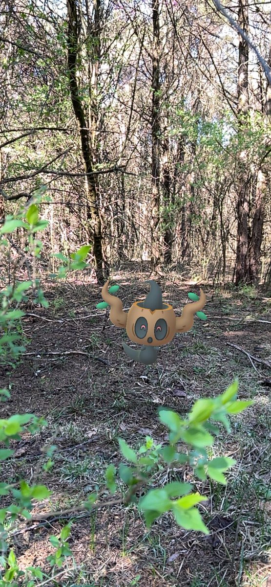 SmokeBoats's tweet image. Found this little fella on my morning walk in the woods #PokemonGo #Go_Snapshot #GOsnapshot