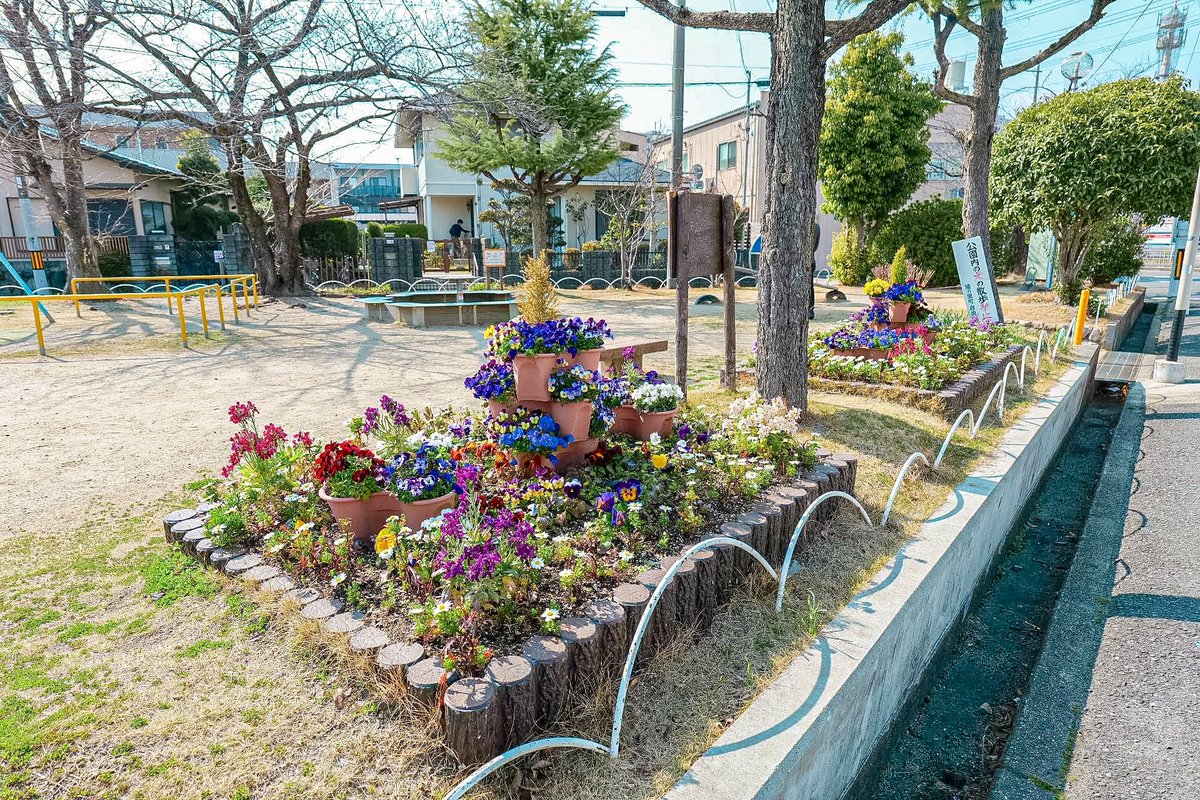 tfgc0817's tweet photo. かんな公園の花壇の様子です🥰🩷
暖かくなってきて、パンジーやビオラなどが綺麗に咲いています🤩
こちらの花壇も見頃です😍💗
#高槻市藤の里の町ガーデニング愛好会 #公園の花壇作り
#公園花壇で町の活性化 #かんな公園 
#たかつきガーデンコンクール https://t.co/RKxafT2RhU