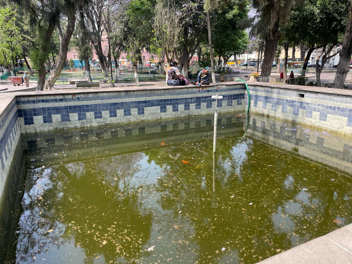 ElUniversal_SLP's tweet photo. #FOTOS  🛑Sin funcionar y en el olvido, fuentes y espacios de la Alameda Juan Sarabia en SLP ⛲️

📹 Humberto Torres 

https://t.co/qD1CbuJ9Oc https://t.co/I4fDH8UAdp