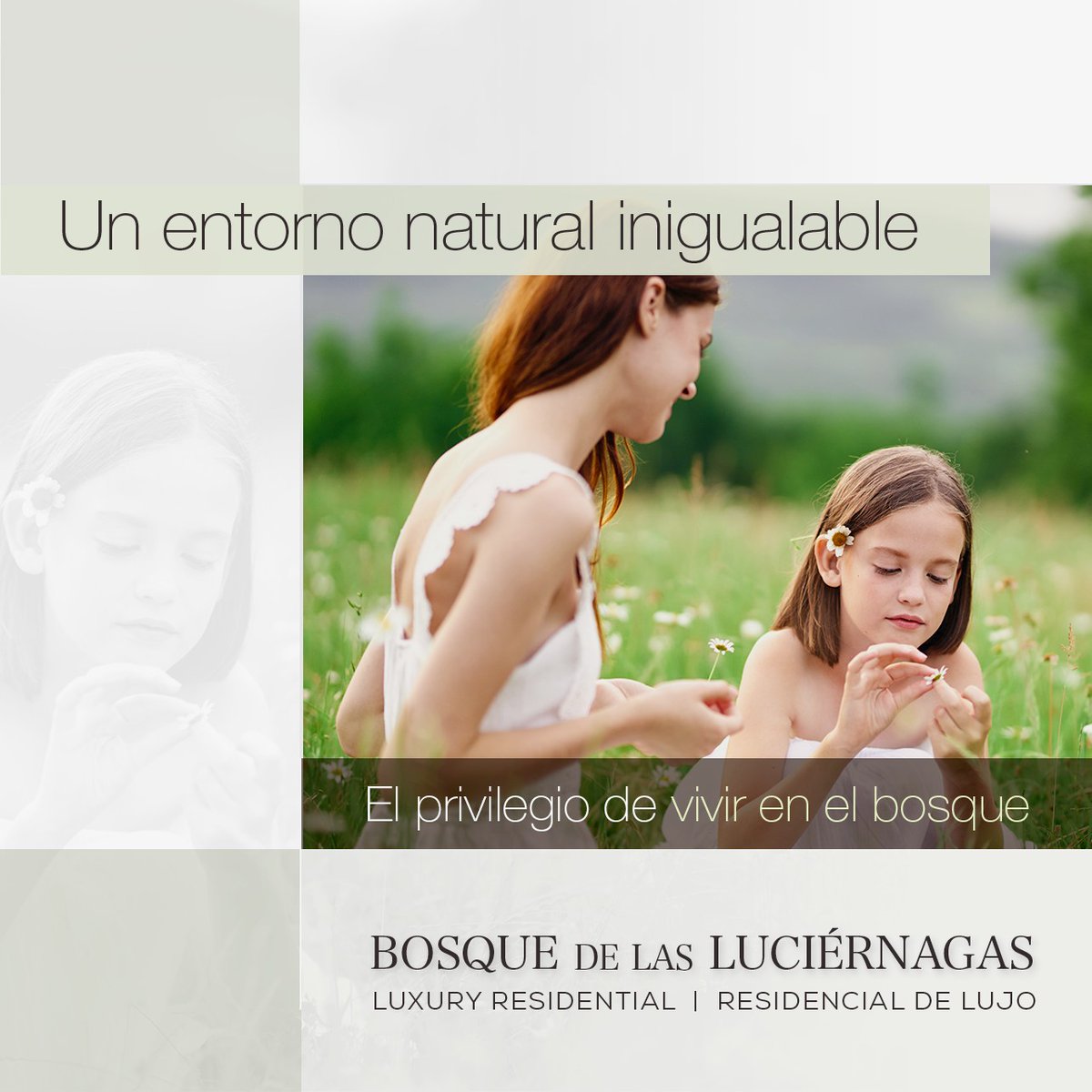 GPInmob's tweet photo. El único residencial de lujo de Aguascalientes.
Terrenos residenciales en venta.
Con más y mejores amenidades. https://t.co/igLJ1IoqXx