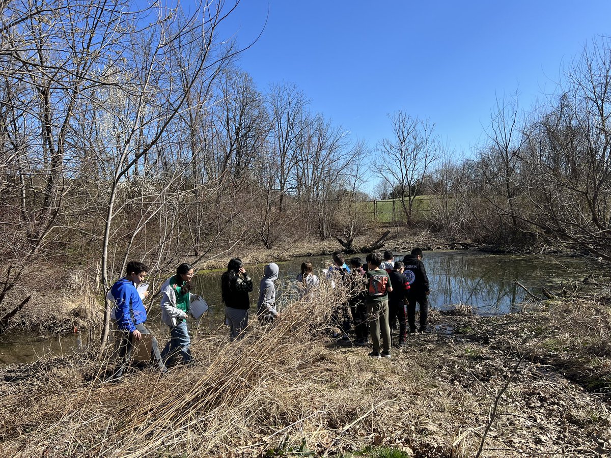 Anita Gesumaria🌈 tweet media
