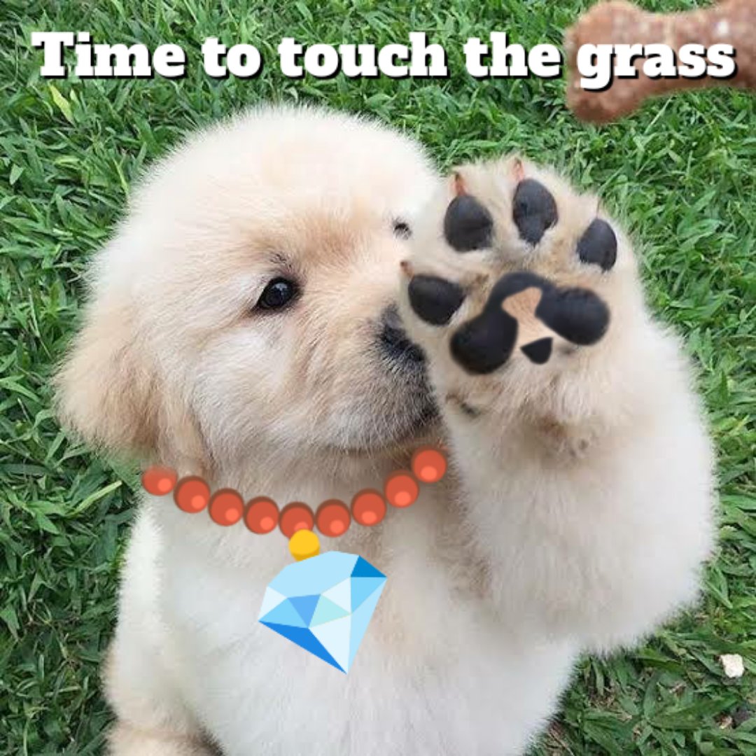 nidaherv's tweet photo. After purchasing 10 $PAWS NFT on MagicEden
It's time to relax and touch the grass
Because I am a 🐾 Paws Diamond Holder now https://t.co/xiAvdKKhqY