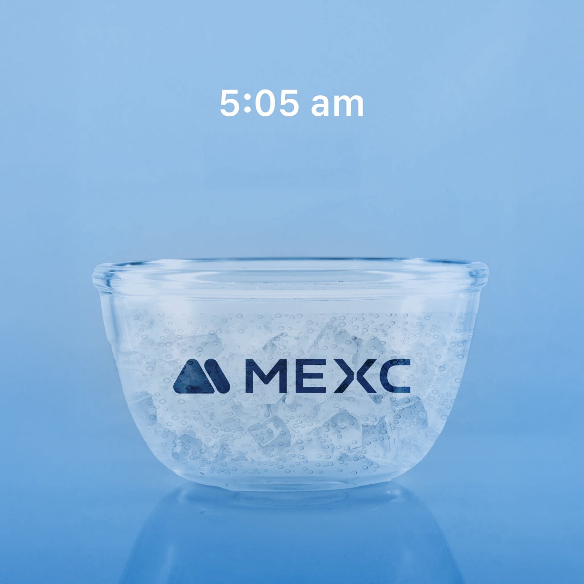 My daily trading routine.