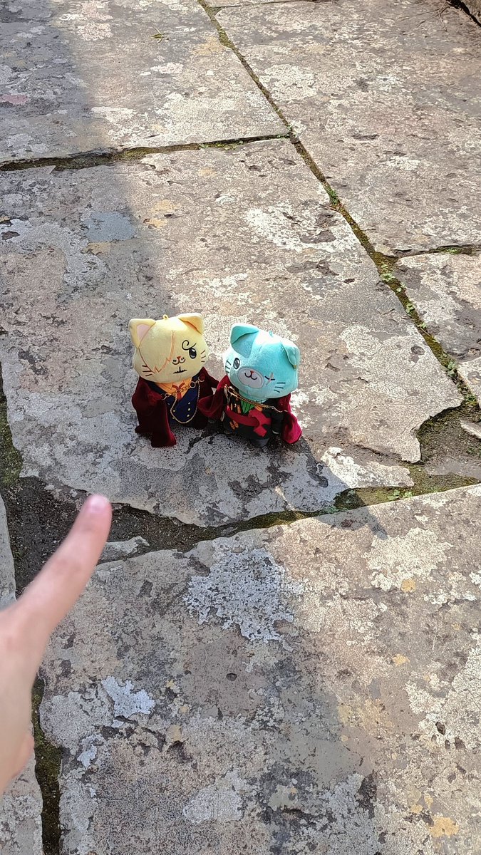 ailrue's tweet image. Took the kitties to a palace today 🌷⛲️