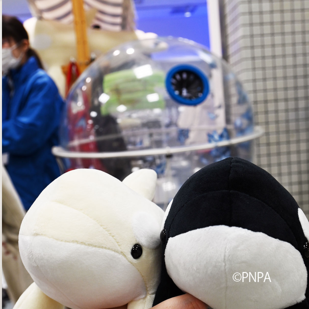 名古屋港水族館 on X: 