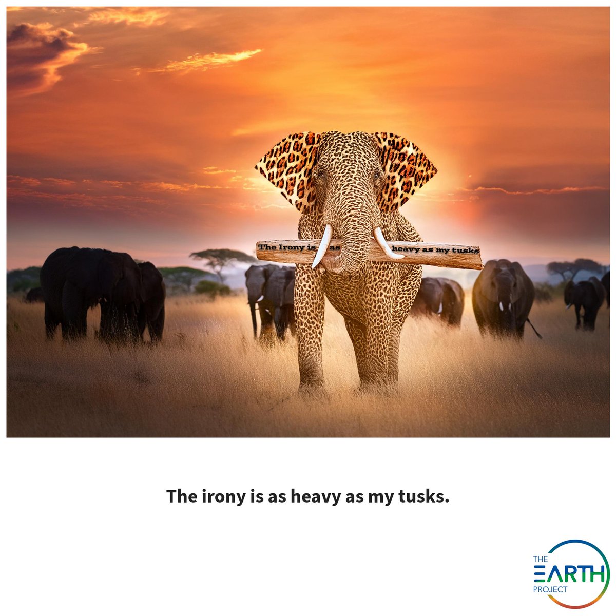 The Earth Project (@EarthProject1) / Posts / X