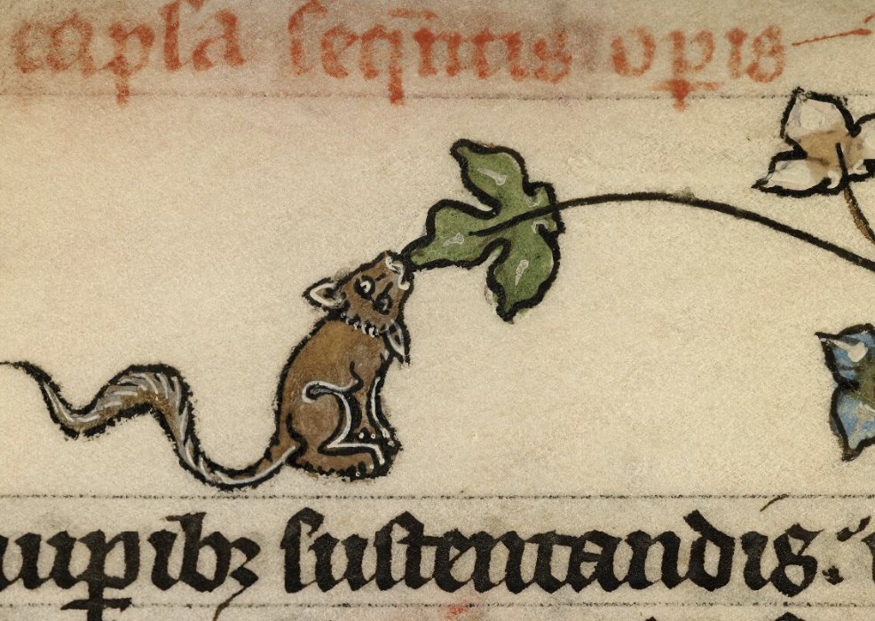Caught!

Boulogne-sur-Mer, BM, 0130, t. I