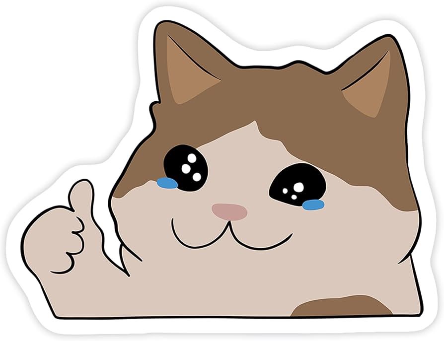 Los que les compraron entradas a Frany perdiéndose tremendo partido.