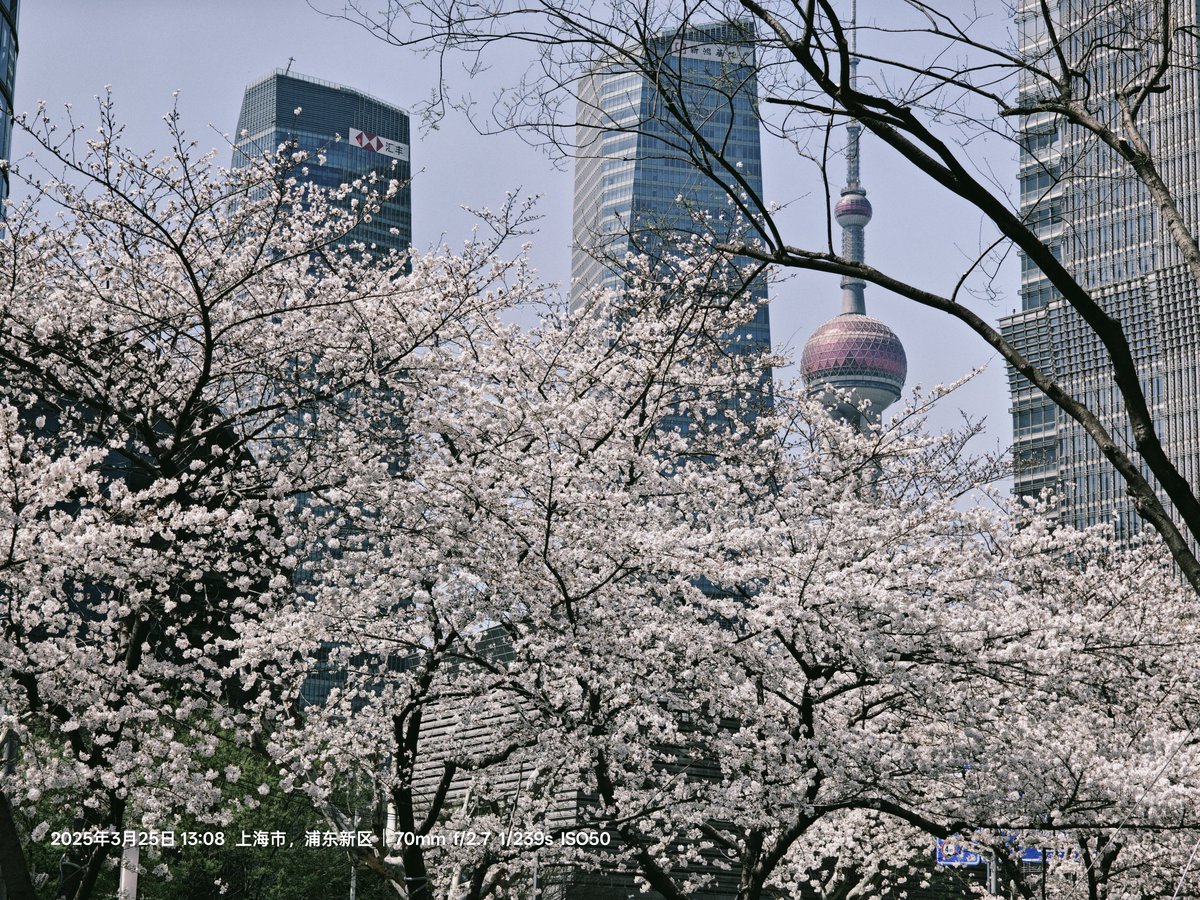 JIANGAIZE (@cashewunss) on Twitter photo 