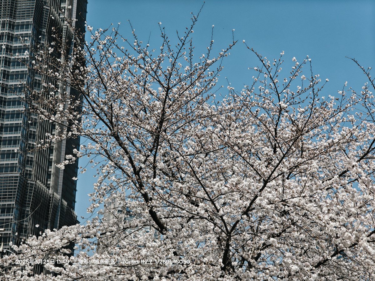 JIANGAIZE (@cashewunss) on Twitter photo 