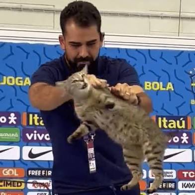 rodrigosalem's tweet photo. Enquanto não pedirem desculpas por isso… https://t.co/PLhfOuQ5Tx