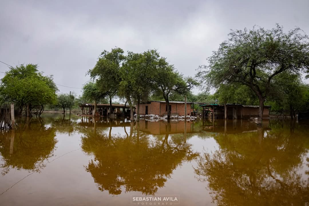davidcorreatv's tweet photo. Ya no está en las noticias el desborde  del Pilcomayo en el norte de Salta. Pero el agua, que se llevó todo, sigue allí. En Santa Victoria Este, Monte Carmelo, Santa María, La Estrella, Hito 1 y La Puntana,entre decenas de parajes, estas imágenes se repiten. Ph: Sebastián Ávila. https://t.co/eoKBBPBnSq