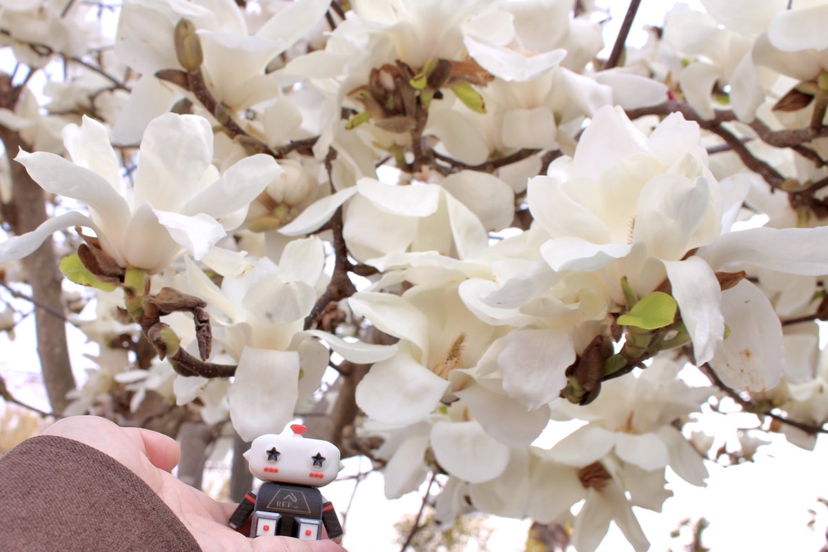 レップ株式会社【公式】 (@REPinc_official) / Posts / X