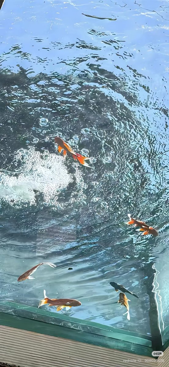 bbublequm's tweet photo. 💅🏻🐠🫧🫧🫧 https://t.co/IIlZB8fd61
