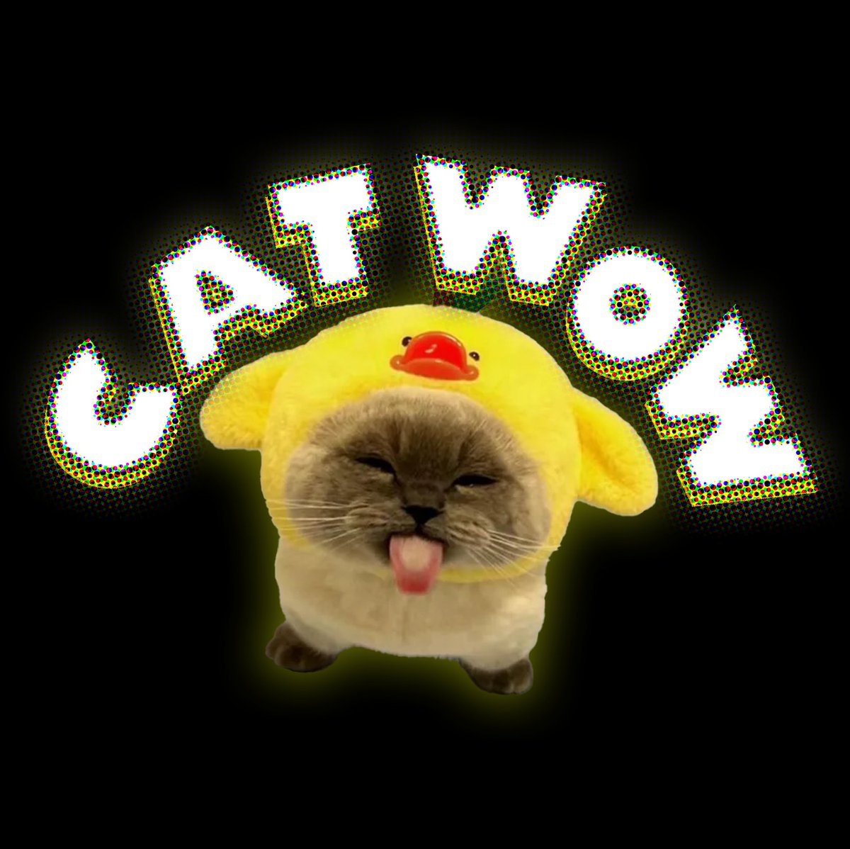 CatWOW (@catwowgg) on Twitter photo 