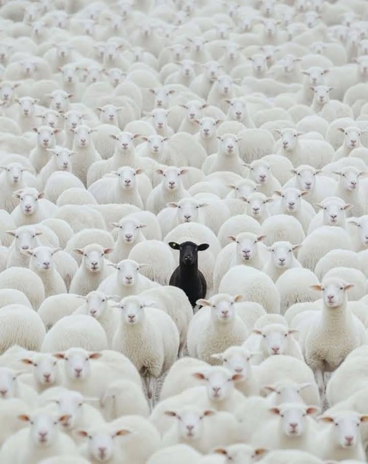 EstiloMDF's tweet image. "No soy como creen, ni voy a ser como quieren"...