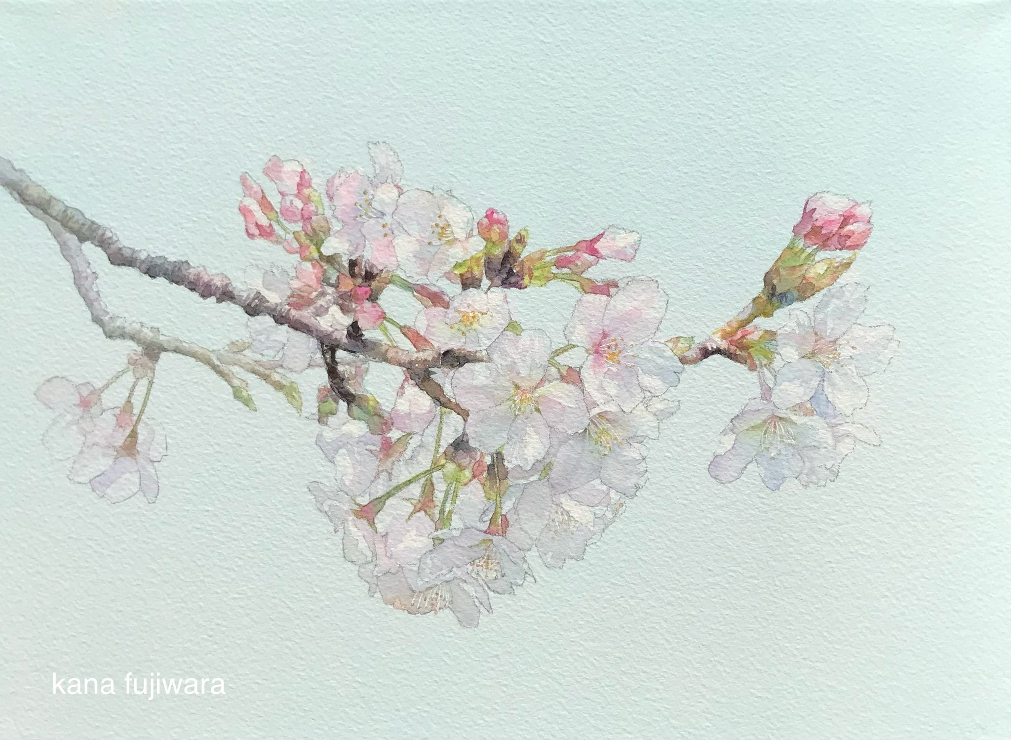 藤原香奈 水彩画 Kana Fujiwara (@kana_watercolor) / X
