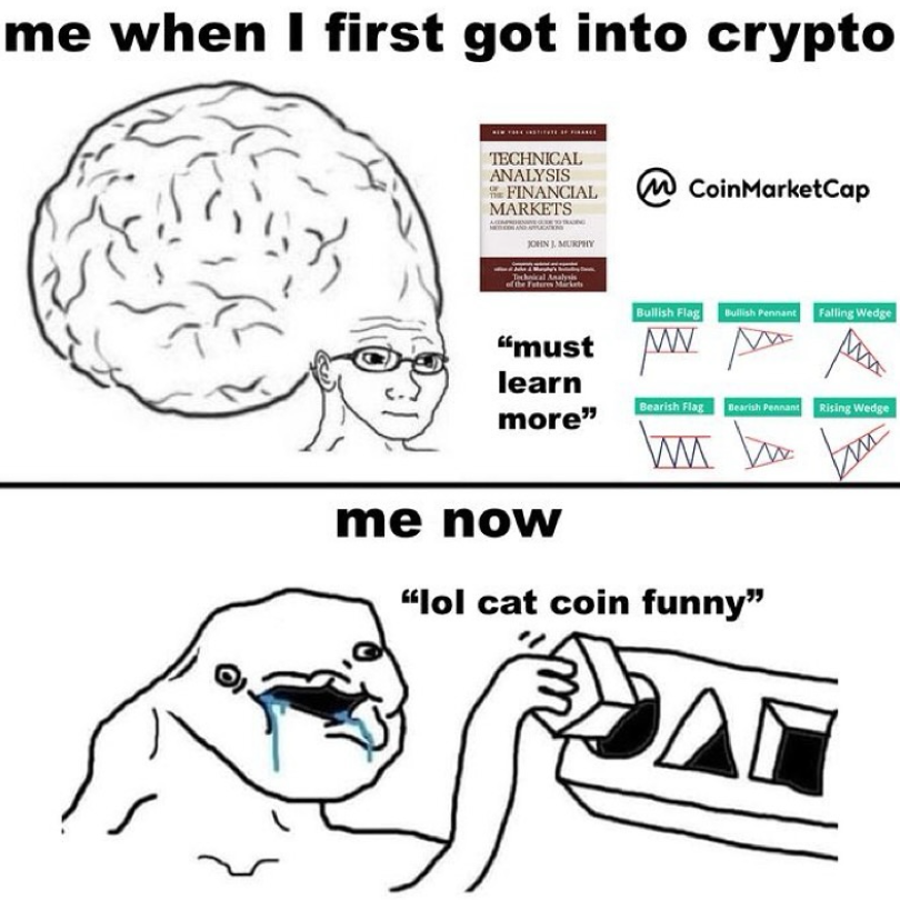 Myers 🐕 (@myers_exe) on Twitter photo 