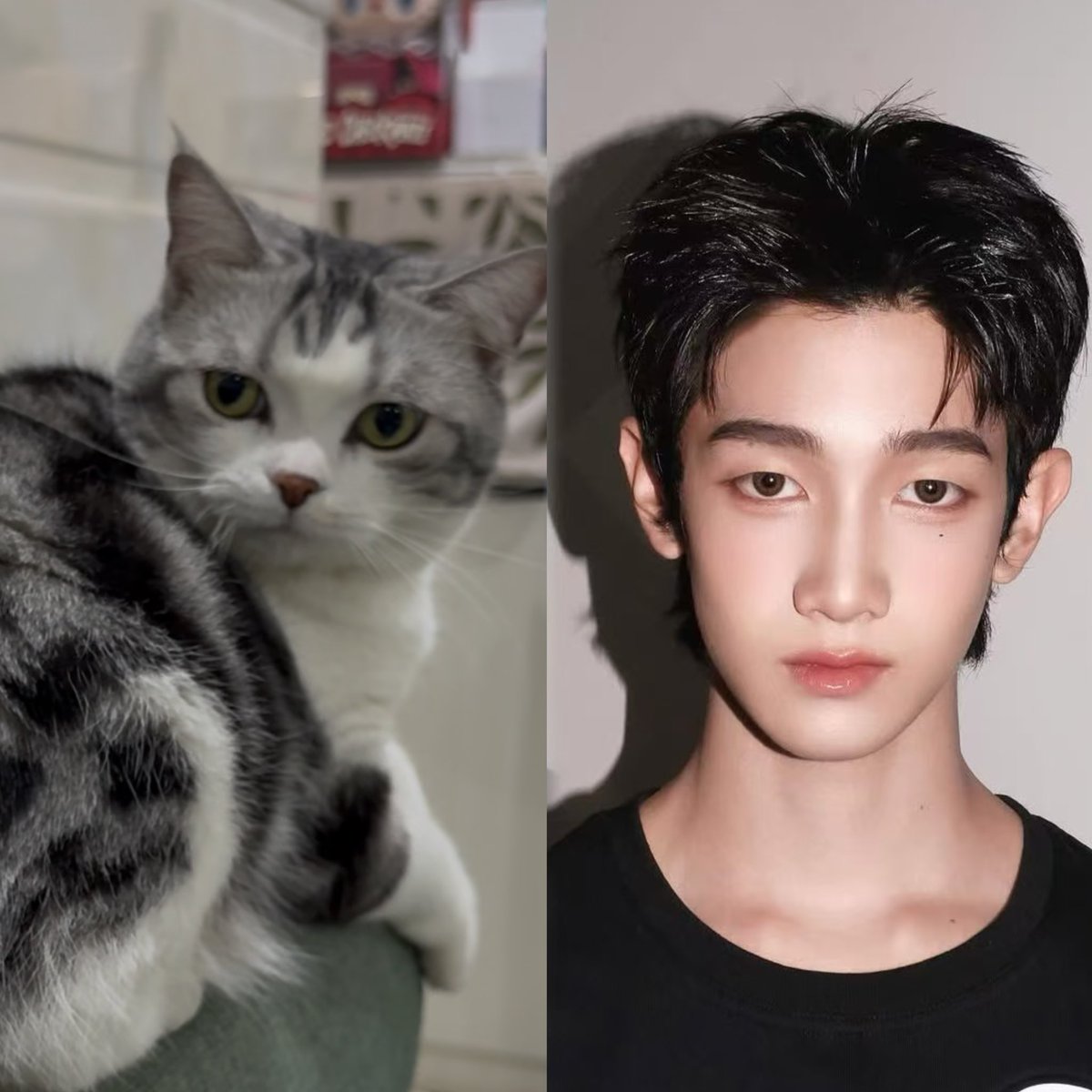 Peacebearbear's tweet photo. Happy birthday～
My happy kitten💚💚

#Progress16thBDay https://t.co/558jjHRhTA