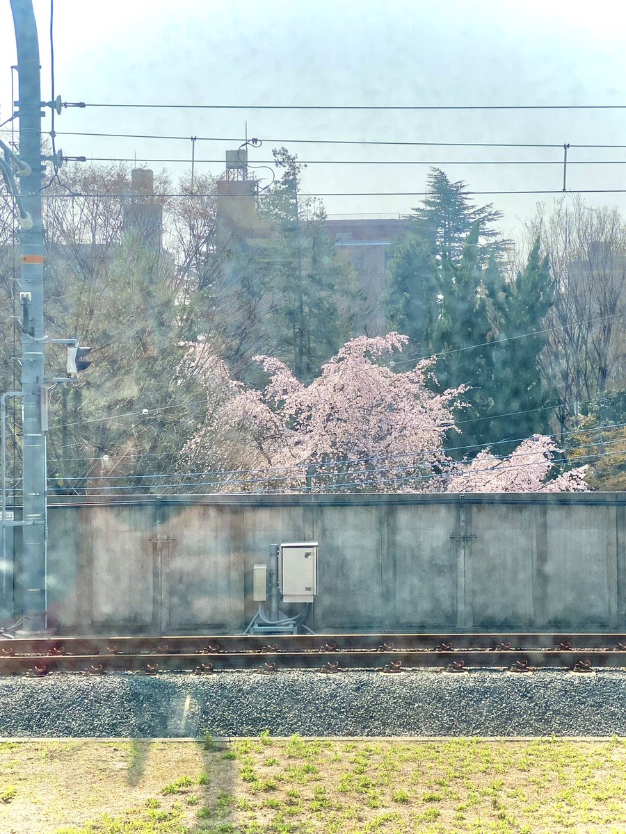 駅のホームから♪