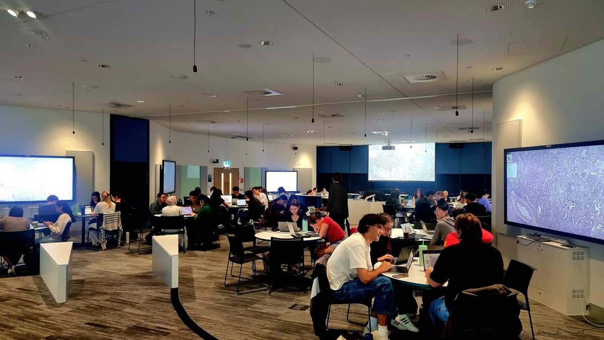 Dr Naisana Seyedasli (She/her) tweet media