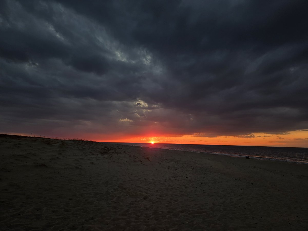 BlueDucktape tweet media