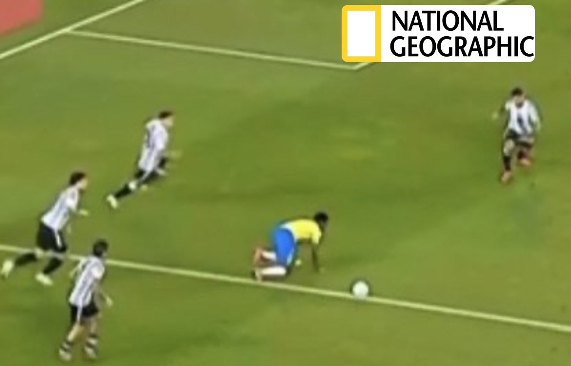 fede (@fedeze7a) on Twitter photo 