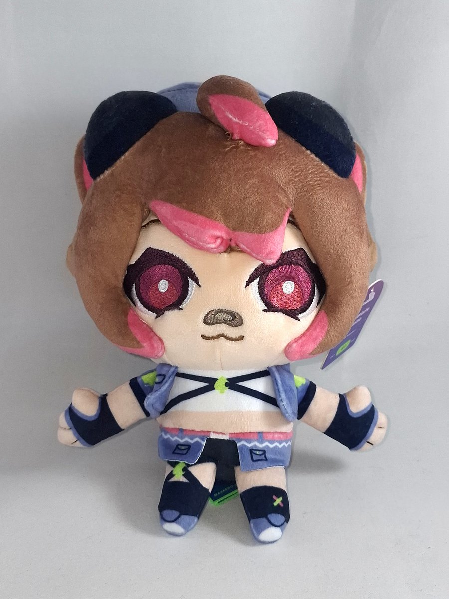 heytar0_'s tweet photo. ¡Otro compañero ha llegado a la colección! El peluche de @Raakkun está demasiado lindo 🦝✨ https://t.co/0t5f3WG0nl