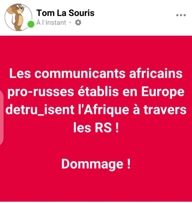 TOM LA SOURIS 🕵️