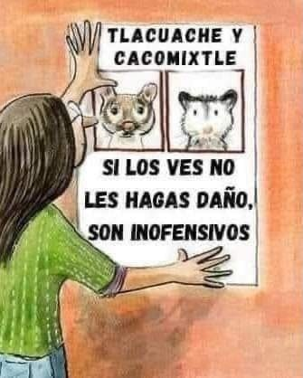 varamburucano's tweet photo. https://t.co/iaWPzo5B6J