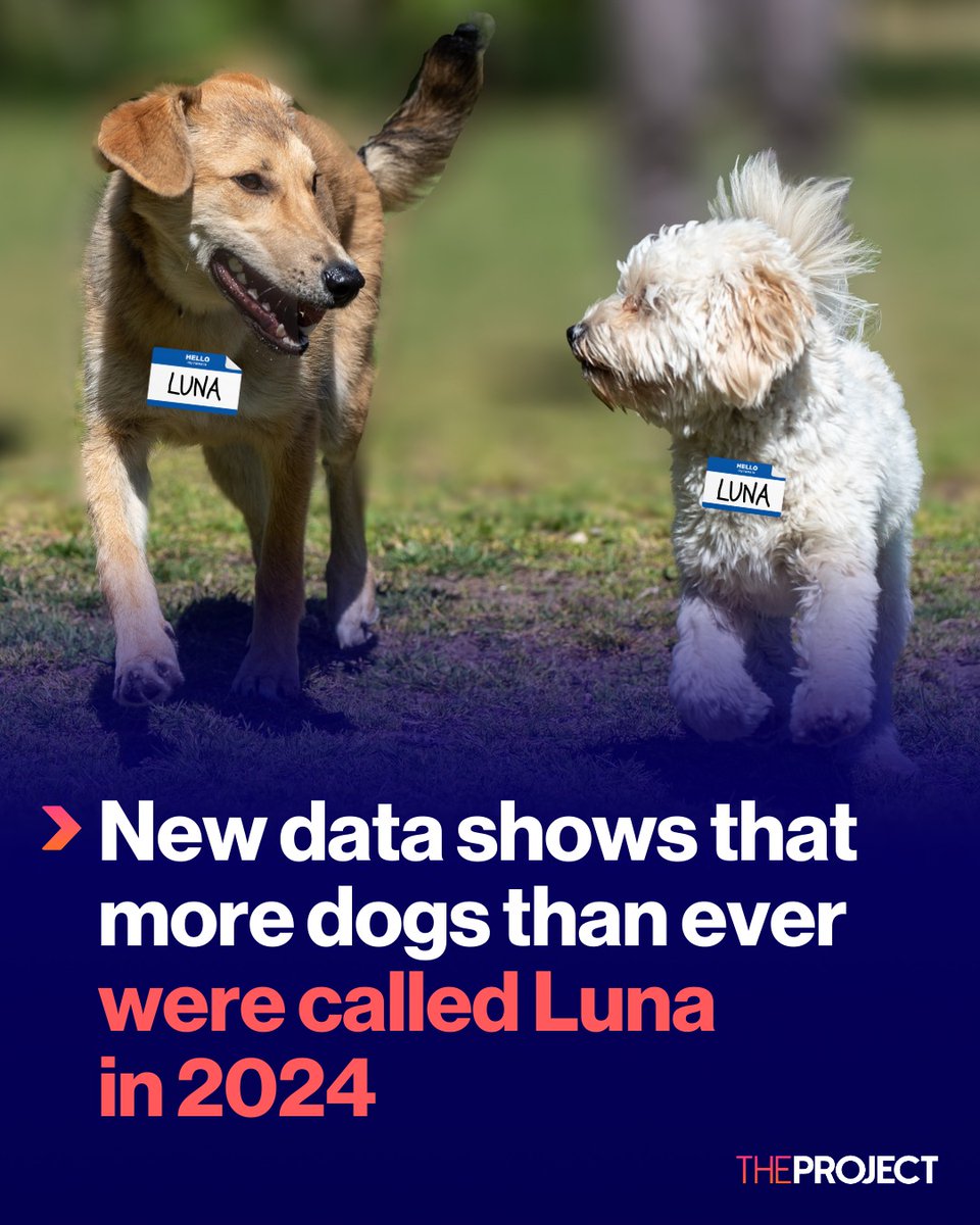 CONY | KIM WOOJIN PHILIPPINES (@_cony87) on Twitter photo 