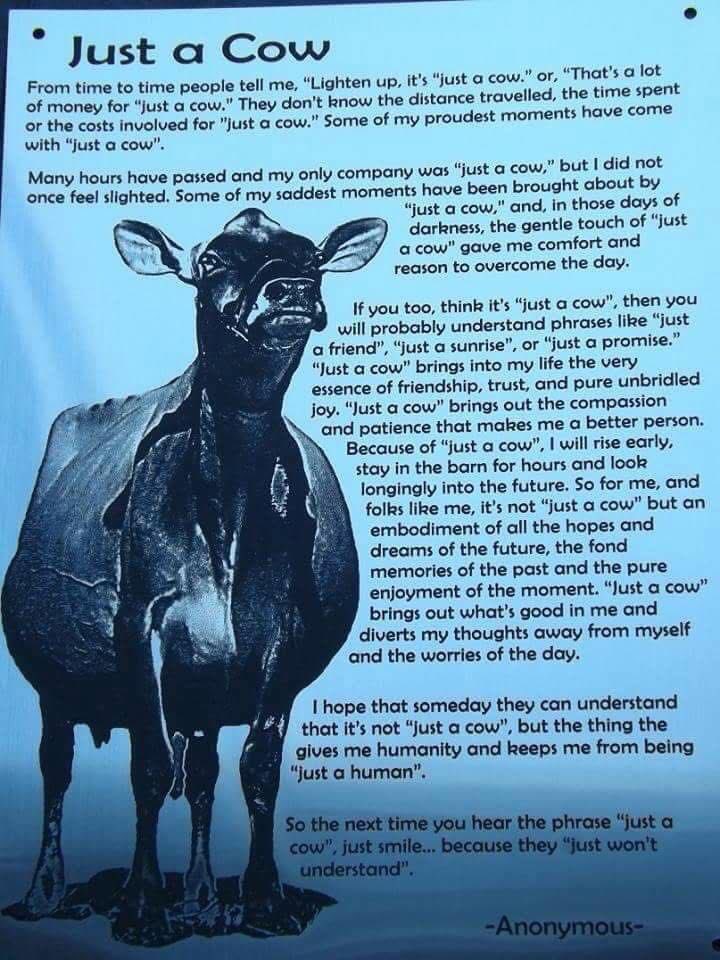 ~605~ ShittalkerFFS tweet media