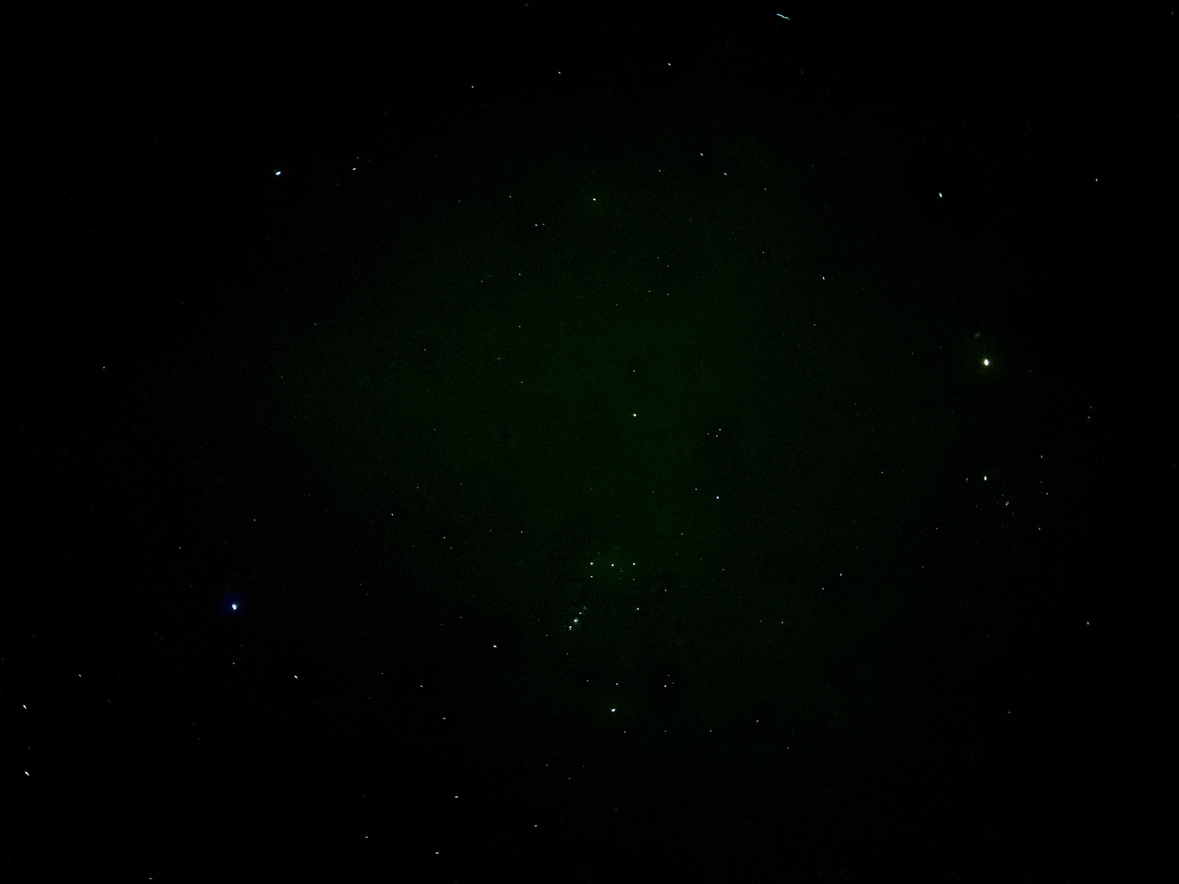 senvuscamp's tweet photo. 空気の澄んだ冬の空は、夏や秋に負けない綺麗な星空を眺められます。屋久島に来たら、ぜひ星空を見上げて空の広さ、星の多さを体感してください🌠
（やみー）
#ナイスセンバス https://t.co/iVtN5ku7ti