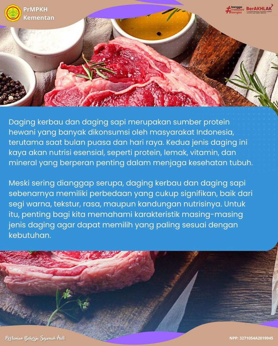brmppkh's tweet photo. SobaTani, masih bingung bedanya daging sapi dan daging kerbau? 🤨

Yuk kita simak apa saja bedanya, agar kita jeli saat membeli nanti ya Sob.

Semoga informasi ini bermanfaat, jgn lupa sharenya ya!

#DagingKerbau #AlternatifDagingSapi #Kerbau #Sapi #DagingSapi #BrMP #PrMPKH https://t.co/e7whDunech