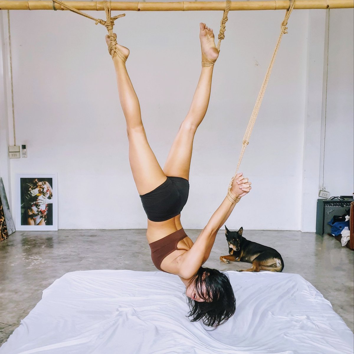 "Ankle suspension."

Private session with @kumiko_aom 🐱 &amp; Charlotte 🐶
Rope &amp; 📸 by @Unnamedminorxxx
จองคิวมัดติดต่อได้ทาง inbox ค่ะ https://t.co/FzftPSCg22