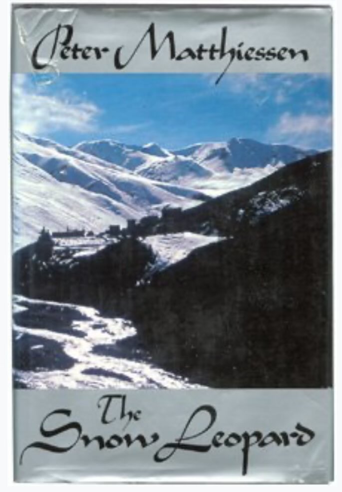 Jason Windawi tweet media