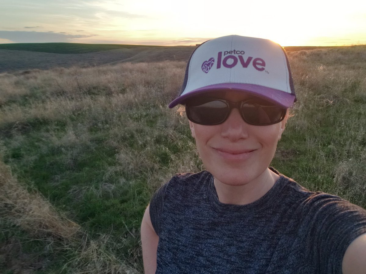 shaindelr's tweet photo. 1.5 miles, 115 foot elevation gain. Needed to get away from town, and it was cooler in the hills π #RunForPAWS #CharityMiles #everymilematters #getoutside Thank you, @petcolove for the awesome swag π Happy to be a #petcopartner https://t.co/XAbekRdj71