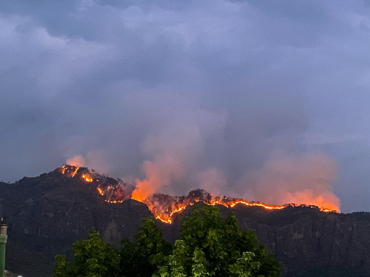 jss_Ort's tweet photo. #Incendioforestal #tepoztlan #faunaenpeligro #lunesymartes #morelos #incendioenTepoztlan https://t.co/ZDxTxSJkbx